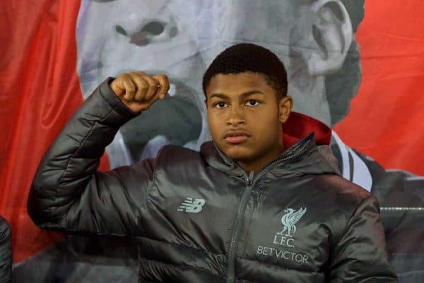 LIVERPOOL, ENGLAND - Tuesday, September 18, 2018: Liverpool's Rhian Brewster during the UEFA Champions League Group C match between Liverpool FC and Paris Saint-Germain at Anfield. (Pic by David Rawcliffe/Propaganda)