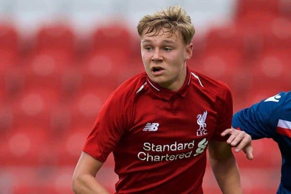 ST HELENS, ENGLAND - Wednesday, October 24, 2018: Liverpool's Paul Glatzel during the UEFA Youth League Group C match between Liverpool FC and FK Crvena zvezda at Langtree Park. (Pic by David Rawcliffe/Propaganda)