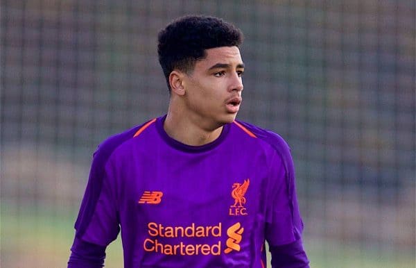 BELGRADE, SERBIA - Tuesday, November 6, 2018: Liverpool's substitute Ki-jana Hoever during the UEFA Youth League Group C match between FK Crvena zvezda Under-19's and Liverpool FC Under-19's at ?ukari?ki Stadium. (Pic by David Rawcliffe/Propaganda)