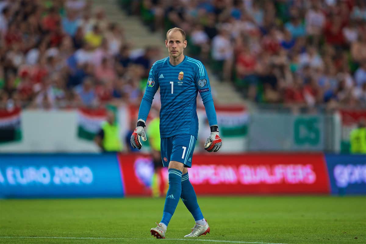 BUDAPEST, HUNGARY - Tuesday, June 11, 2019: Hungary's goalkeeper Péter Gulácsi during the UEFA Euro 2020 Qualifying Group E match between Hungary and Wales at the Ferencváros Stadion. (Pic by David Rawcliffe/Propaganda)