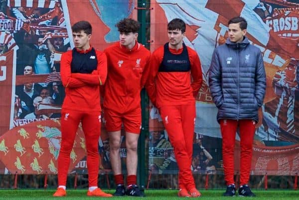 KIRKBY, ENGLAND - Saturday, January 26, 2019: Liverpool's Adam Lewis and Nico Williams watch from the side-lines during the FA Premier League match between Liverpool FC and Manchester United FC at The Academy. (Pic by David Rawcliffe/Propaganda)