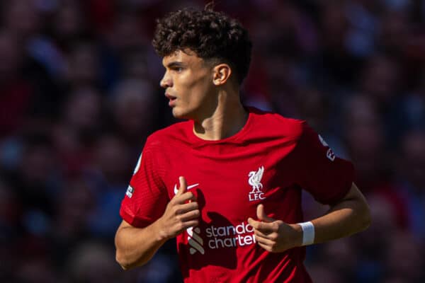 LIVERPOOL, ENGLAND - Saturday, August 27, 2022: Liverpool's Stefan Bajcetic during the FA Premier League match between Liverpool FC and AFC Bournemouth at Anfield. Liverpool won 9-0. (Pic by David Rawcliffe/Propaganda)