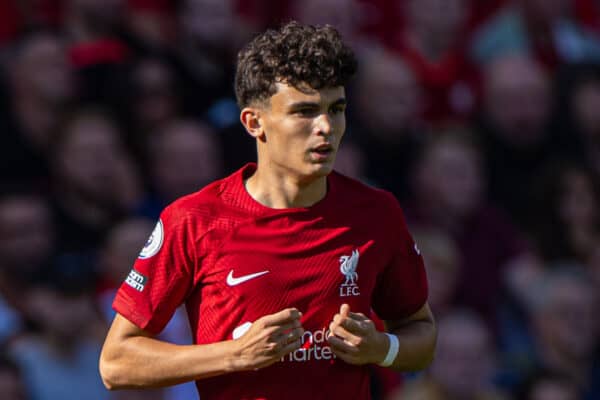 LIVERPOOL, ENGLAND - Saturday, August 27, 2022: Liverpool's Stefan Bajcetic during the FA Premier League match between Liverpool FC and AFC Bournemouth at Anfield. Liverpool won 9-0. (Pic by David Rawcliffe/Propaganda)