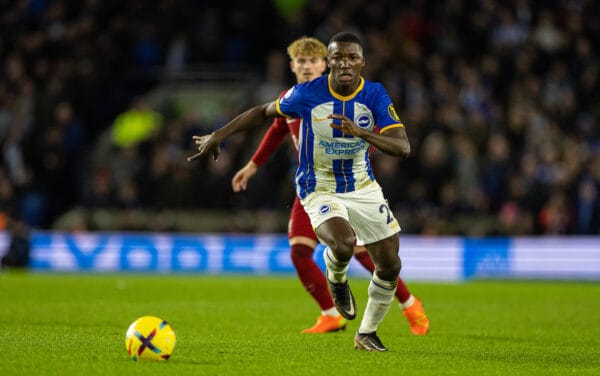 Brighton & Hove, England - Saturday, January 14, 2023: Moises Caicedo of Brighton & Hove Albion during the FA Premier League match between Brighton & Hove Albion FC and Liverpool FC at Palmer Stadium.  (Photo by David Rawcliffe/Propaganda)