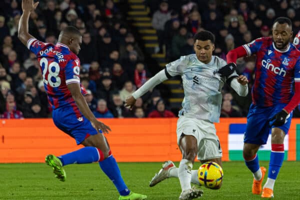 LONDON, ENGLAND - Saturday, February 25, 2023: Liverpool's Cody Gakpo during the FA Premier League match between Crystal Palace FC and Liverpool FC at Selhurst Park. (Pic by David Rawcliffe/Propaganda)