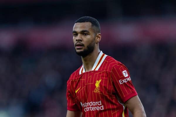 LIVERPOOL, ENGLAND - Saturday, November 2, 2024: Liverpool's Cody Gakpo during the FA Premier League match between Liverpool FC and Brighton & Hove Albion FC at Anfield. (Photo by David Rawcliffe/Propaganda)