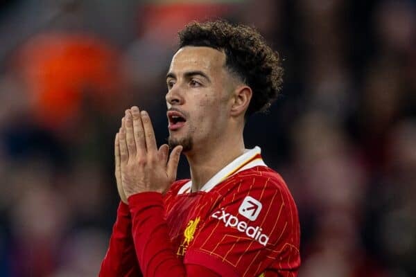 LIVERPOOL, ENGLAND - Saturday, November 2, 2024: Liverpool's Curtis Jones during the FA Premier League match between Liverpool FC and Brighton & Hove Albion FC at Anfield. (Photo by David Rawcliffe/Propaganda)