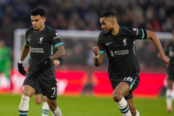 LONDON, ENGLAND - Saturday, January 18, 2025: Liverpool's Luis Díaz (L) and Cody Gakpo during the FA Premier League match between Brentford FC and Liverpool FC at the Brentford Community Stadium. Liverpool won 2-0. (Photo by David Rawcliffe/Propaganda)