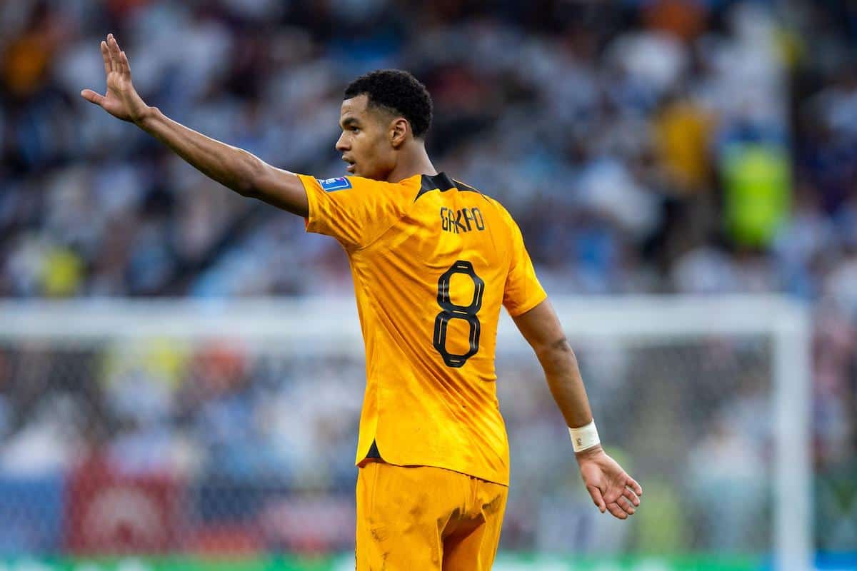 Netherlands' Cody Gakpo gestures. Credit: Tom Weller/dpa/Alamy Live News Credit: dpa picture alliance/Alamy Live News