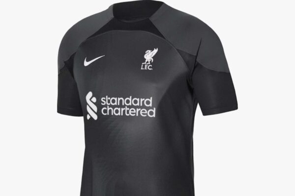 liverpool goalkeeper kit purple