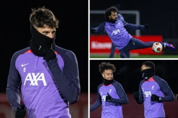 training FI