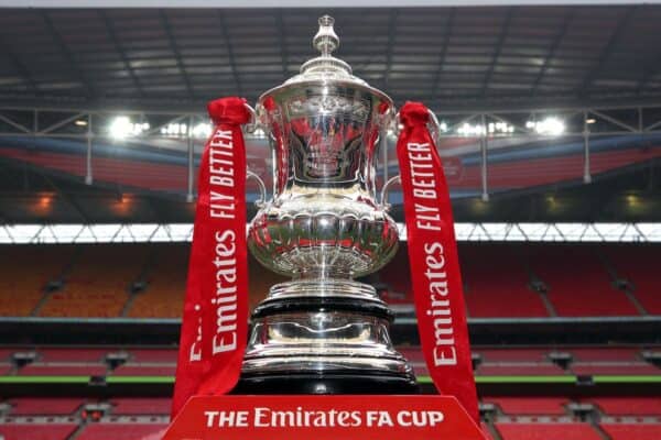 The FA Cup semi-finals are due to take place at Wembley next month (Nick Potts/PA)