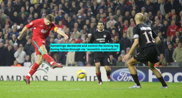 LIVERPOOL, ENGLAND- WEDNESDAY DECEMBER 8th 2004: Liverpool's Steven Gerrard scores the winning goal, and his side's third, against Olympiakos during the UEFA Champions League Group A match at Anfield. (Pic by David Rawcliffe/Proparganda)