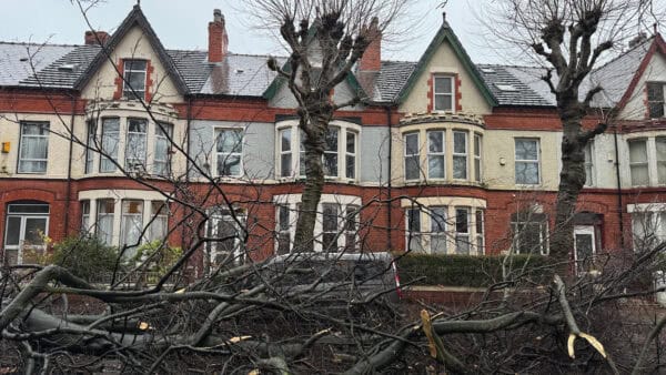 LIVERPOOL, ENGLAND - Saturday, December 7,2024: A fallen tree across Greenbank Drive in Liverpool closes the road and engulfs a car parked on the street as Storm Darragh brings a MET Office Yellow weather warning and winds of up to 80 miles per hour. (Photo by David Rawcliffe/Propaganda)