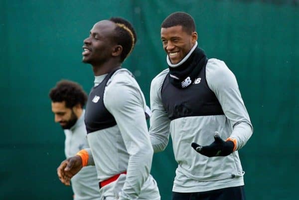 LIVERPOOL, ENGLAND - Monday, April 9, 2018: Liverpool's Georginio Wijnaldum during a training session at Melwood Training Ground ahead of the UEFA Champions League Quarter-Final 2nd Leg match between Manchester City FC and Liverpool FC. (Pic by David Rawcliffe/Propaganda)