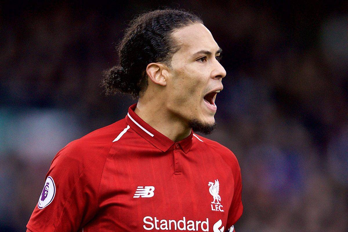 LONDON, ENGLAND - Sunday, March 17, 2019: Liverpool's Virgil van Dijk during the FA Premier League match between Fulham FC and Liverpool FC at Craven Cottage. (Pic by David Rawcliffe/Propaganda)