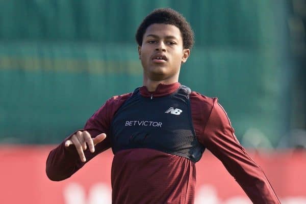 LIVERPOOL, ENGLAND - Monday, April 8, 2019: Liverpool's Rhian Brewster during a training session at Melwood Training Ground ahead of the UEFA Champions League Quarter-Final 1st Leg match between Liverpool FC and FC Porto. (Pic by David Rawcliffe/Propaganda)