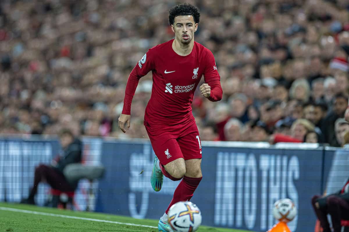 LIVERPOOL, ENGLAND - Wednesday, October 19, 2022: Liverpool's Curtis Jones during the FA Premier League match between Liverpool FC and West Ham United FC at Anfield. (Pic by David Rawcliffe/Propaganda)