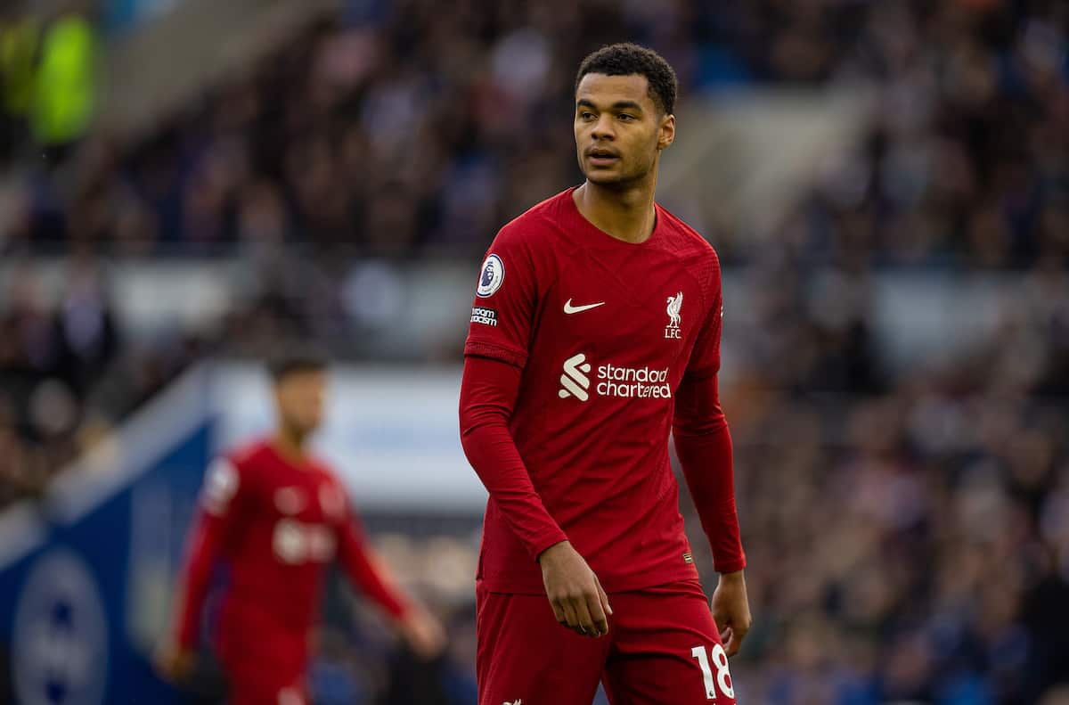 BRIGHTON & HOVE, ENGLAND - Saturday, January 14, 2023: Liverpool's Cody Gakpo during the FA Premier League match between Brighton & Hove Albion FC and Liverpool FC at the Falmer Stadium. (Pic by David Rawcliffe/Propaganda)