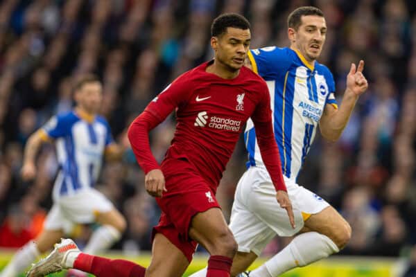 BRIGHTON & HOVE, ENGLAND - Saturday, January 14, 2023: Liverpool's Cody Gakpo during the FA Premier League match between Brighton & Hove Albion FC and Liverpool FC at the Falmer Stadium. (Pic by David Rawcliffe/Propaganda)