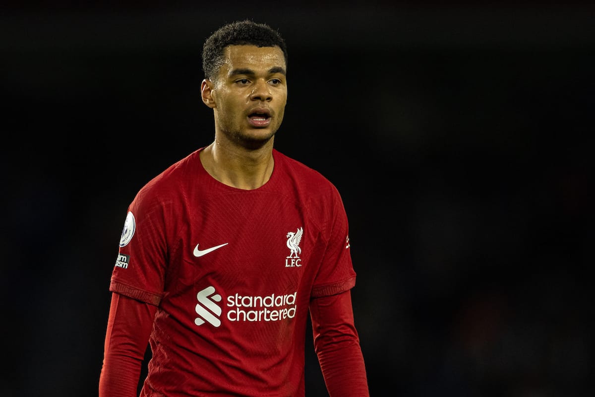 BRIGHTON & HOVE, ENGLAND - Saturday, January 14, 2023: Liverpool's Cody Gakpo during the FA Premier League match between Brighton & Hove Albion FC and Liverpool FC at the Falmer Stadium. (Pic by David Rawcliffe/Propaganda)