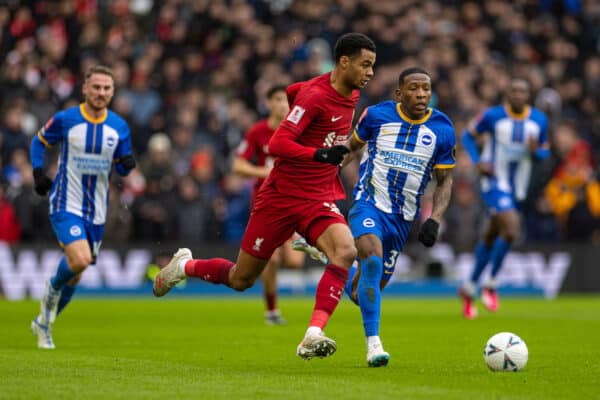 BRIGHTON & HOVE, ENGLAND - Sunday, January 29, 2023: Liverpool's Cody Gakpo during the FA Cup 4th Round match between Brighton & Hove Albion FC and Liverpool FC at the Falmer Stadium. (Pic by David Rawcliffe/Propaganda)