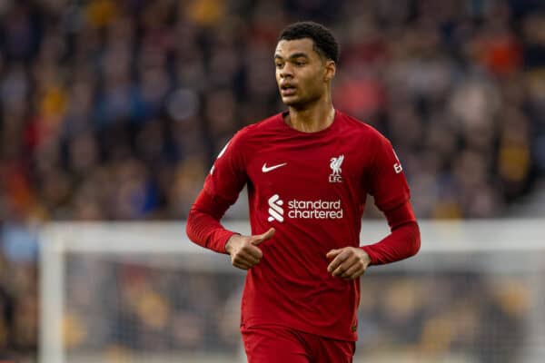 WOLVERHAMPTON, ENGLAND - Saturday, February 4, 2023: Liverpool's Cody Gakpo during the FA Premier League match between Wolverhampton Wanderers FC and Liverpool FC at Molineux Stadium. (Pic by David Rawcliffe/Propaganda)