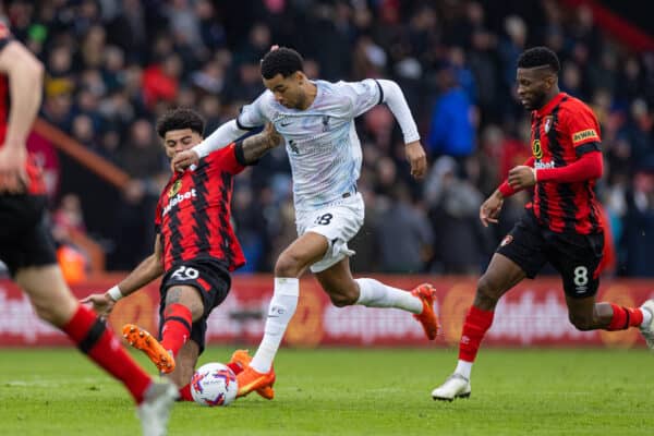 BOURNEMOUTH, ENGLAND - Saturday, March 11, 2023: Liverpool's Cody Gakpo (R) is challenged by Bournemouth's Philip Billing during the FA Premier League match between AFC Bournemouth and Liverpool FC at the Vitality Stadium. (Pic by David Rawcliffe/Propaganda)