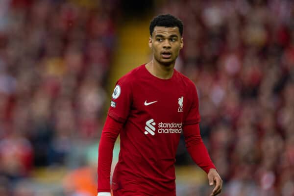 LIVERPOOL, ENGLAND - Saturday, May 6, 2023: Liverpool's Cody Gakpo during the FA Premier League match between Liverpool FC and Brentford FC at Anfield. (Pic by David Rawcliffe/Propaganda)