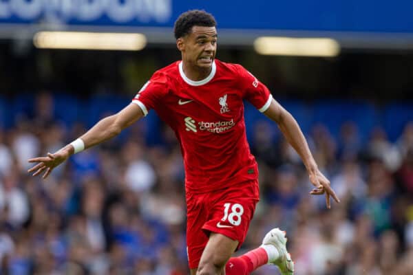 LONDON, ENGLAND - Sunday, August 13, 2023: Liverpool's Cody Gakpo during the FA Premier League match between Chelsea FC and Liverpool FC at Stamford Bridge. (Pic by David Rawcliffe/Propaganda)