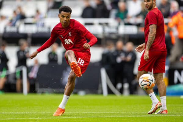 NEWCASTLE-UPON-TYNE, ENGLAND - Sunday, August 27, 2023: Liverpool's Cody Gakpo during the pre-match warm-up before the FA Premier League match between Newcastle United FC and Liverpool FC at St James' Park. (Pic by David Rawcliffe/Propaganda)