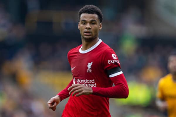 WOLVERHAMPTON, ENGLAND - Saturday, September 16, 2023: Liverpool's Cody Gakpo during the FA Premier League match between Wolverhampton Wanderers FC and Liverpool FC at Molineux Stadium. (Pic by David Rawcliffe/Propaganda)