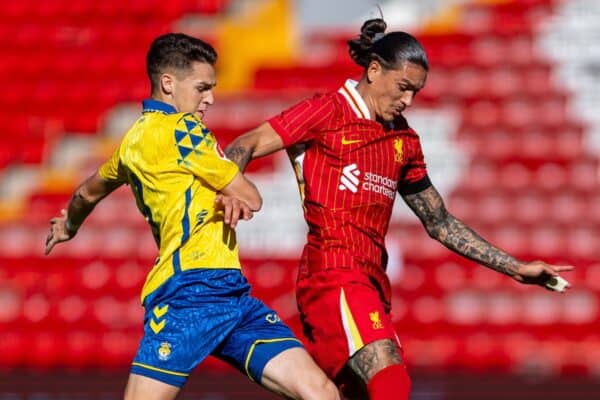 LIVERPOOL, ENGLAND - Sunday, August 11, 2024: Liverpool's Darwin Núñez during a behind closed doors pre-season friendly match between Liverpool FC and Unión Deportiva Las Palmas FC at Anfield. (Photo by David Rawcliffe/Propaganda)