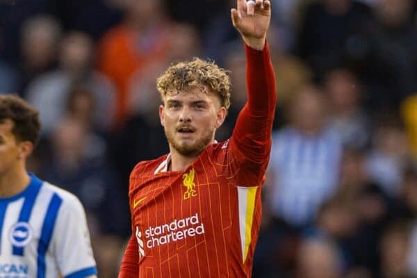 BRIGHTON & HOVE, ENGLAND - Monday, May 19, 2025: Liverpool's Harvey Elliott celebrating the first goal during the FA Premier League match between Brighton & Hove Albion FC and Liverpool FC at the American Express Community Stadium. (Photo by David Rawcliffe/Propaganda)
