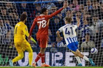 Football – FA Premier League – Brighton & Hove Albion FC v Liverpool FC
