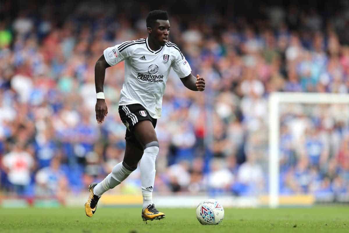 Fulham's Sheyi Ojo