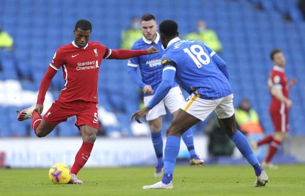 Liverpool's Georginio Wijnaldum (left) and Brighton and Hove Albion's Danny Welbeck battle for the ball (Kirsty Wigglesworth/PA Wire/PA Images)