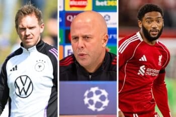 ROUNDUP COLLAGE (10) ROUNDUP COLLAGE (10)