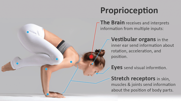 proprioception-Credit-University-of-Utah